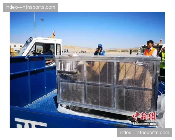 非洲冠军阿鲁纳因签证问题险些错过赛事，最终顺利抵达